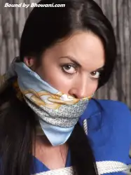 Our Gorgeous Girls, Friday Feature: Bandit Gags