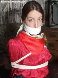 Liz Rainbow, Left Bound and Gagged 2