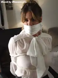 Roxi Stone, Industrial Espionage 5