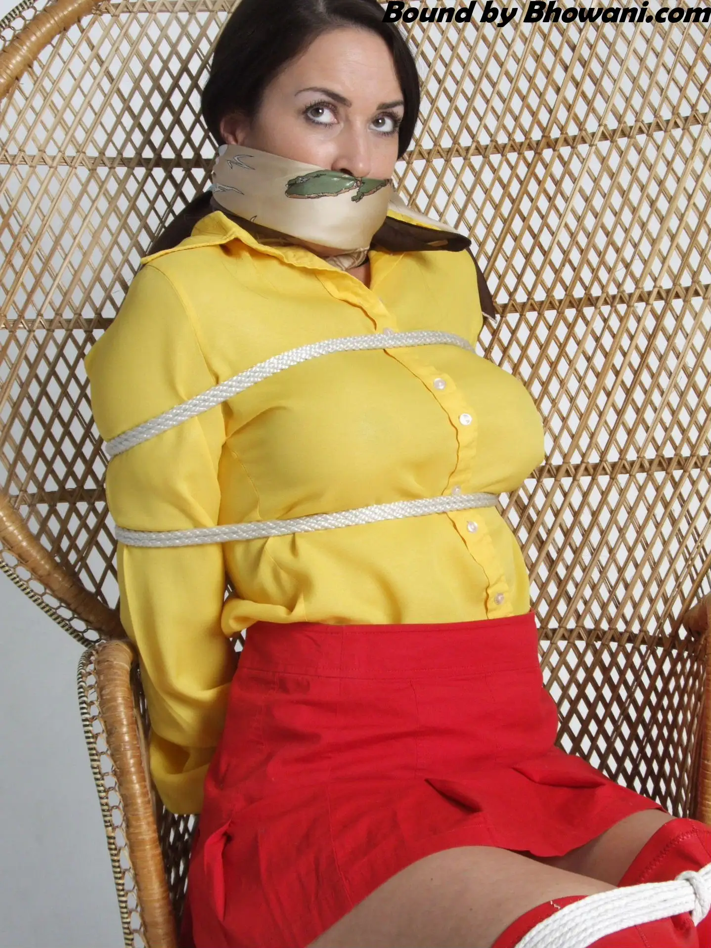 Bondage Picture